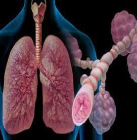 آیا می دانید چه بیماری هایی بر مسیرهای تنفسی و هوایی تاثیر می گذارند؟